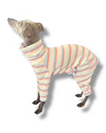 Ribbed Jersey Suit - Pink & Blue Stripe