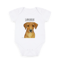 Tiny Tums & Big Crumbs – The Fox Red Labrador Bodysuit