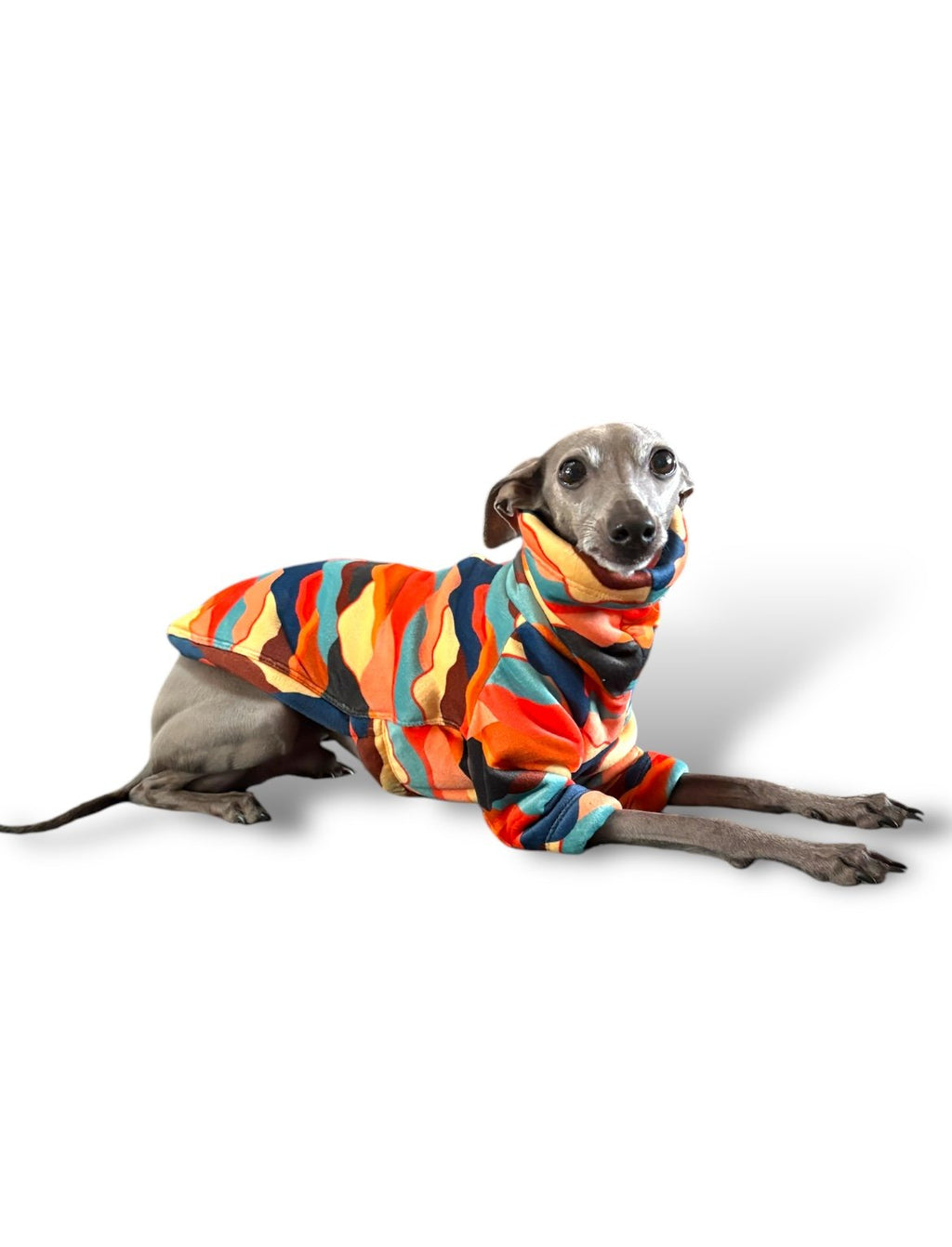 Sherpa Lined Fleece Puppy Jumper - Mountains