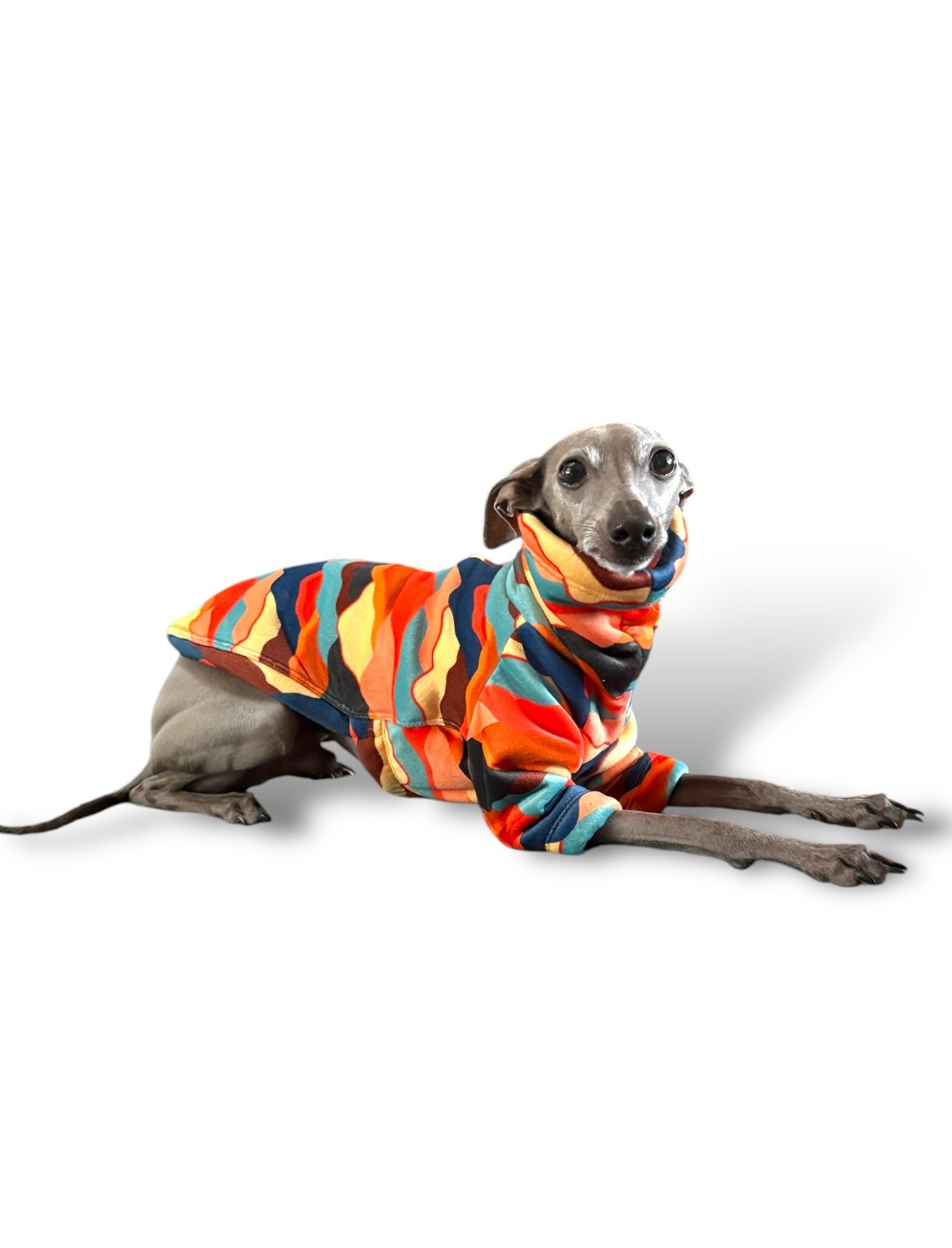 Sherpa Lined Fleece Puppy Jumper - Mountains