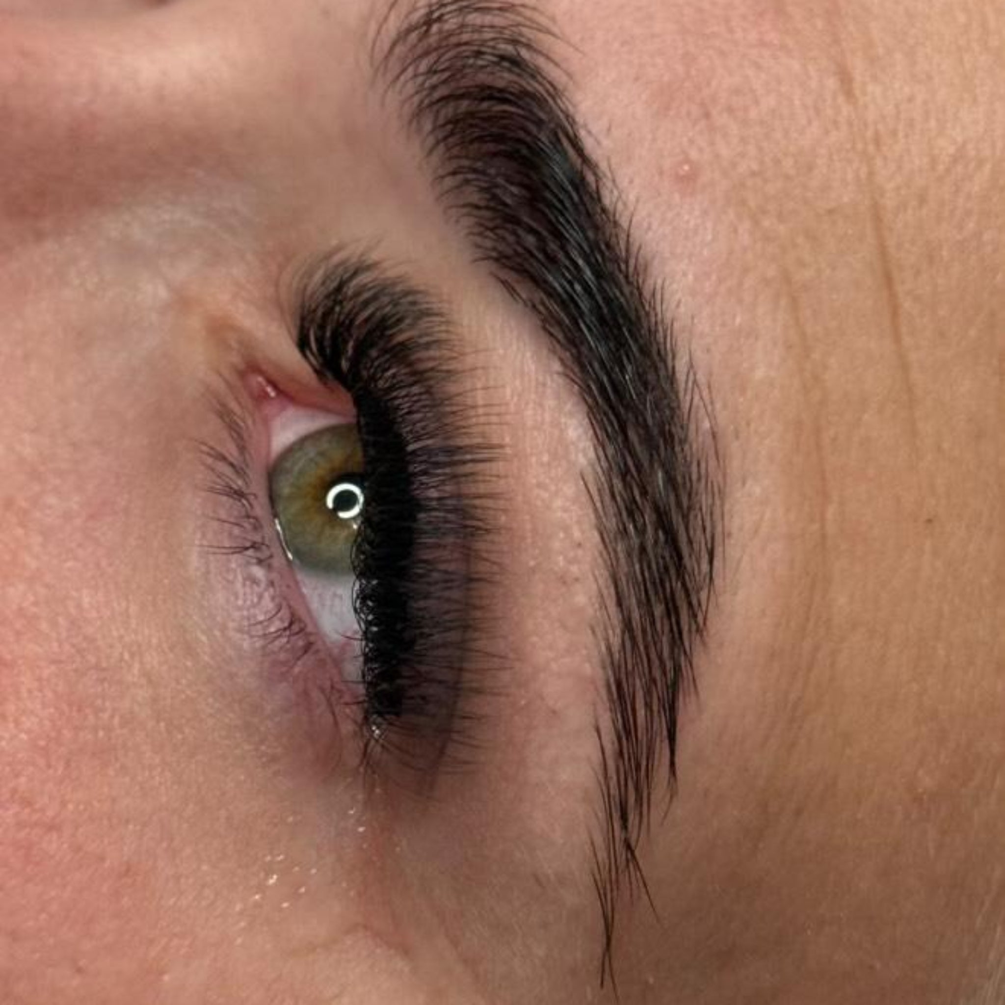 10D Clover Lash 16 Row Mixed Tray