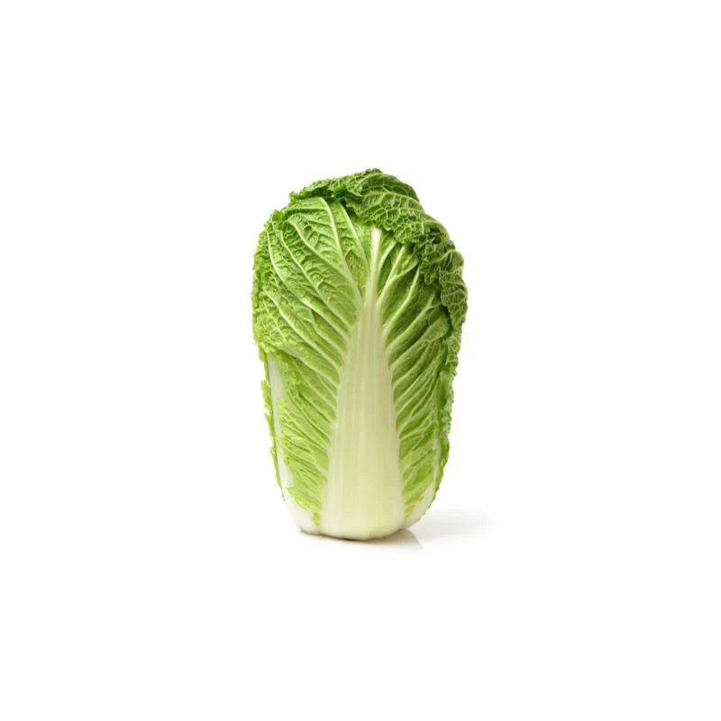Fresh Chinese Leaf/ Chinese Cabbage
