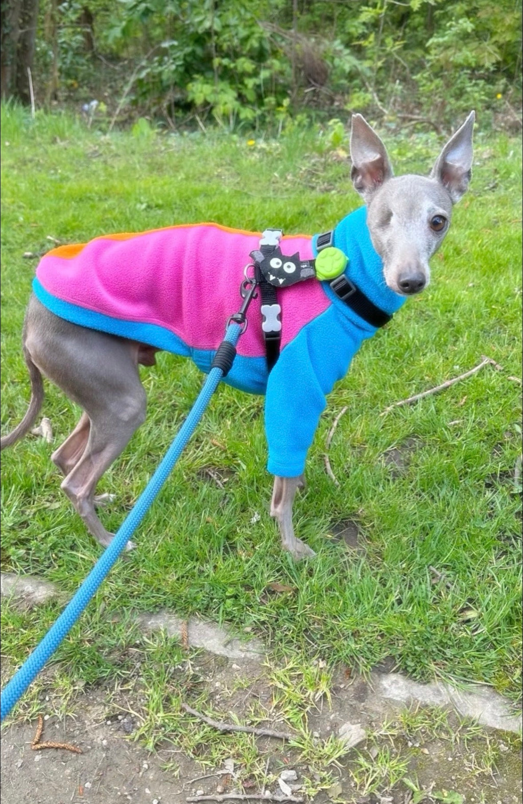 Fleece Jumper - Neon Colour Block