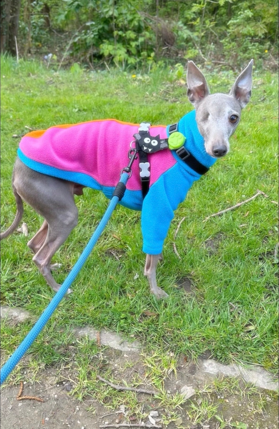 Fleece Jumper - Neon Colour Block
