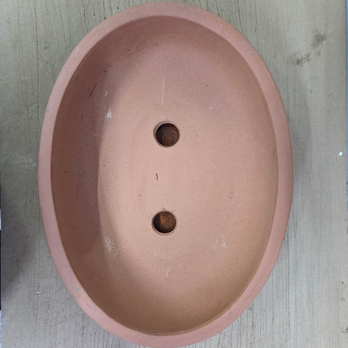 42cm Premium Unglazed Bonsai Pot | Oval | 42cm x 31cm x 11cm | Painted