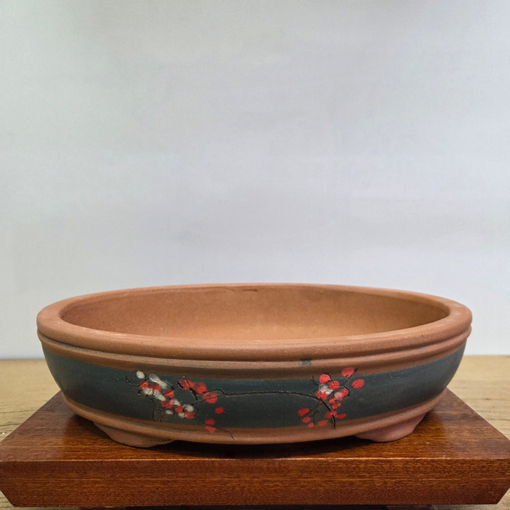 34cm Premium Unglazed Bonsai Pot | Oval | 34cm x 26cm x 8cm | Painted