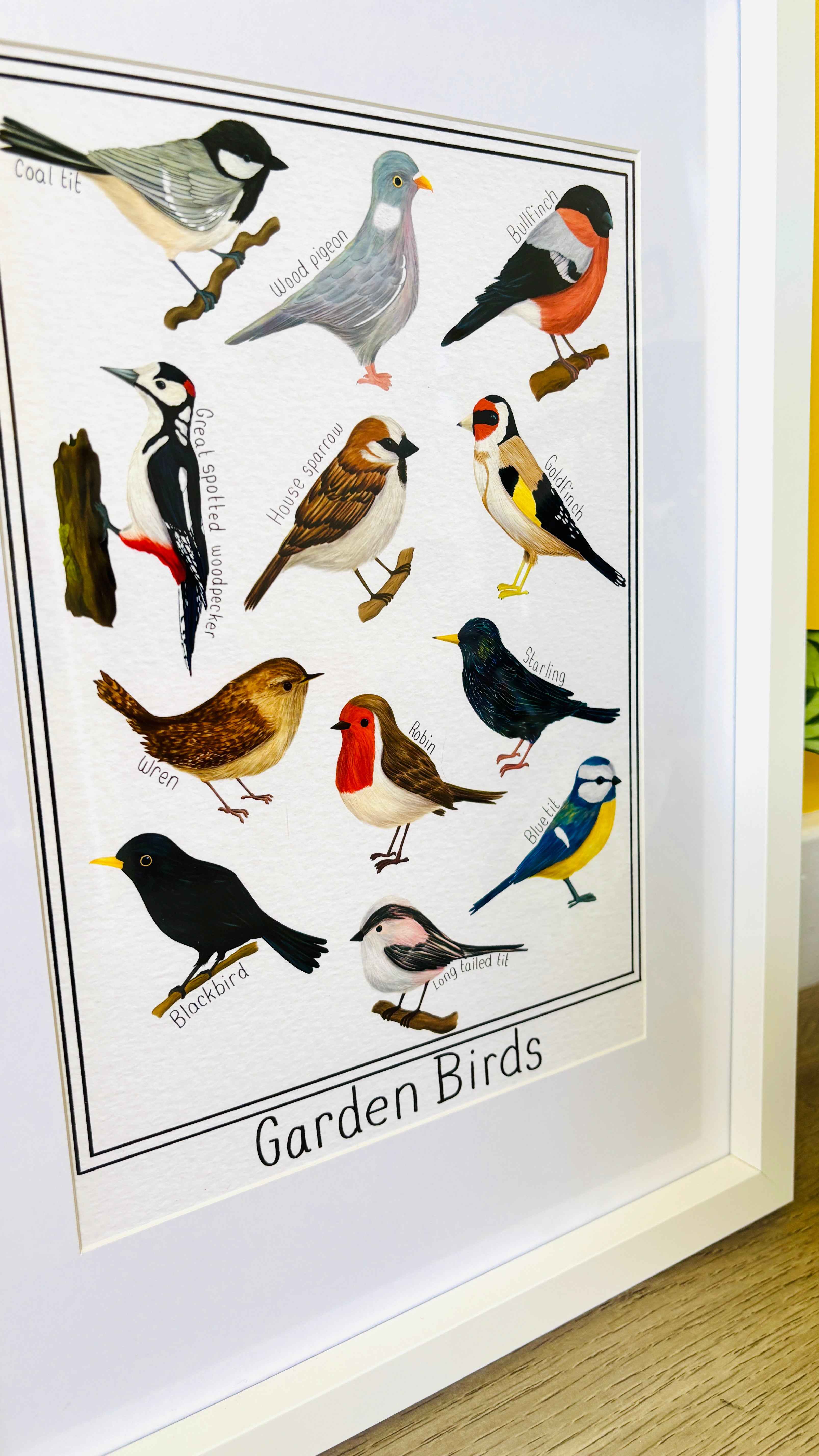 Garden British Birds Art Print-: Multiple Sizes available