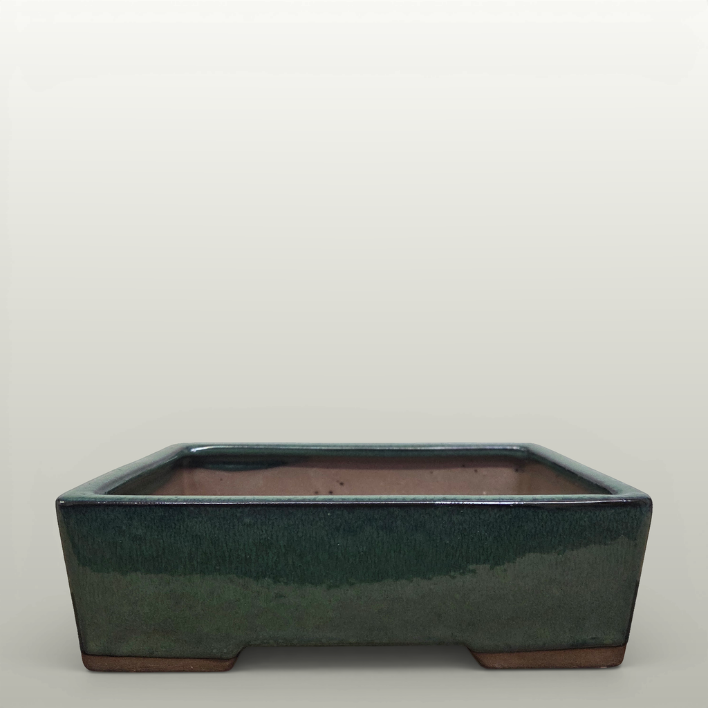 22cm Glazed Bonsai Pot | Rectangle | 22cm x 17cm x 7cm | Dark Green