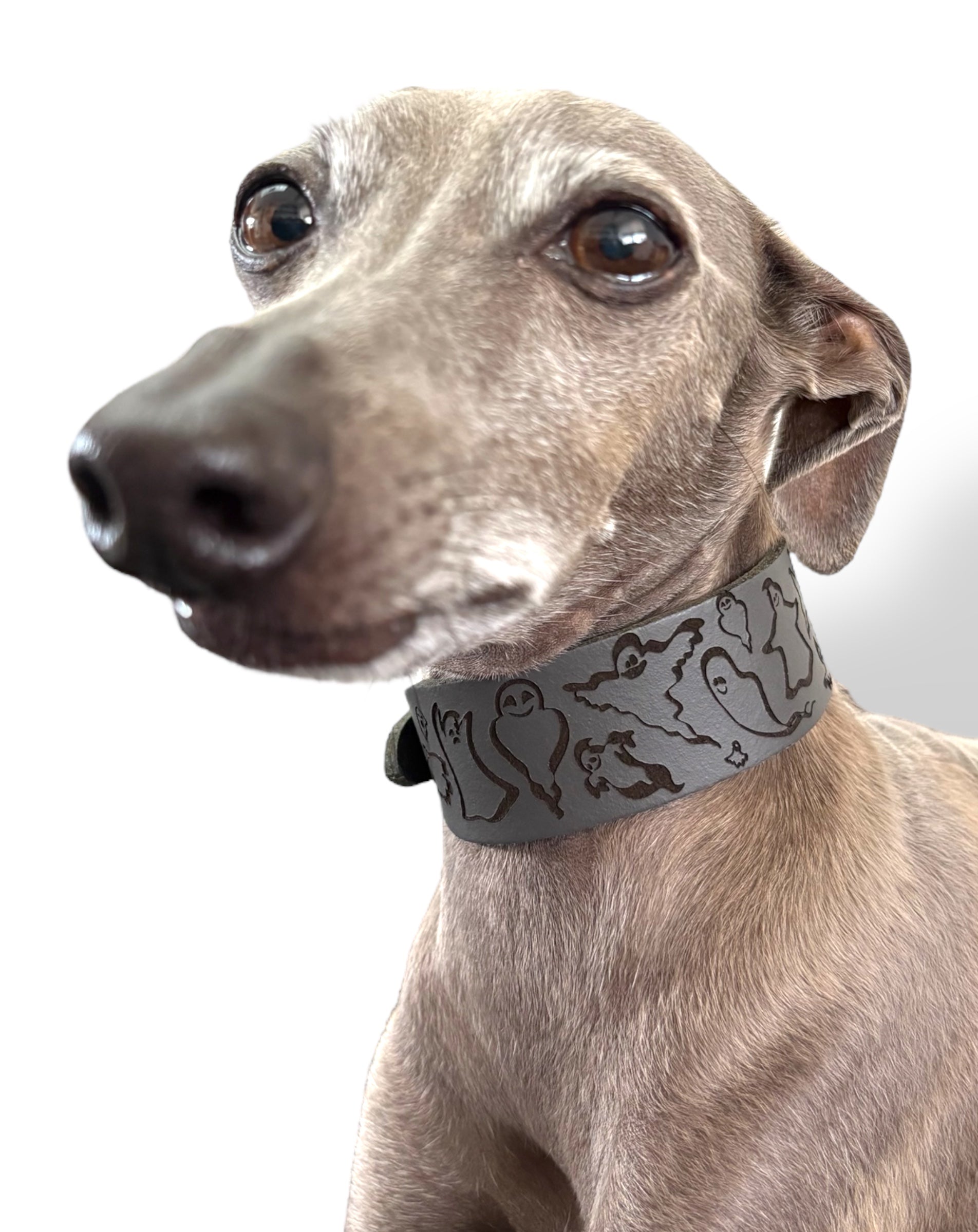 Leather Collar - HALLOWEEN - Ghosties
