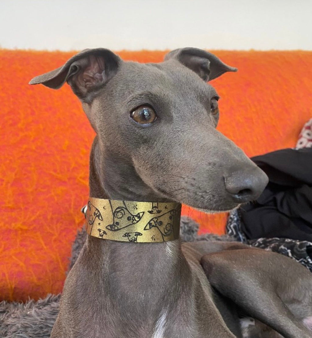 Leather Collar - Hounds