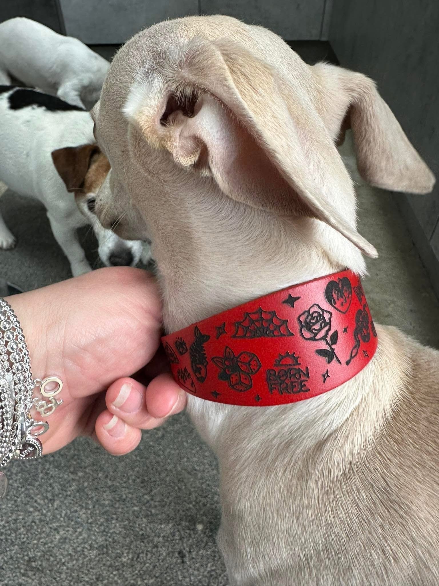 Leather Collar - Tattoo Flash