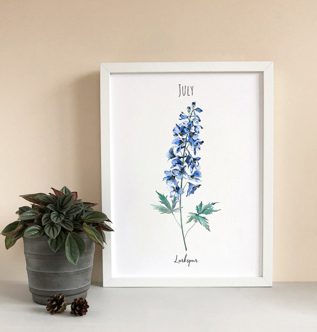 Larkspur - July Birth Flower - Watercolour Fine Art Print