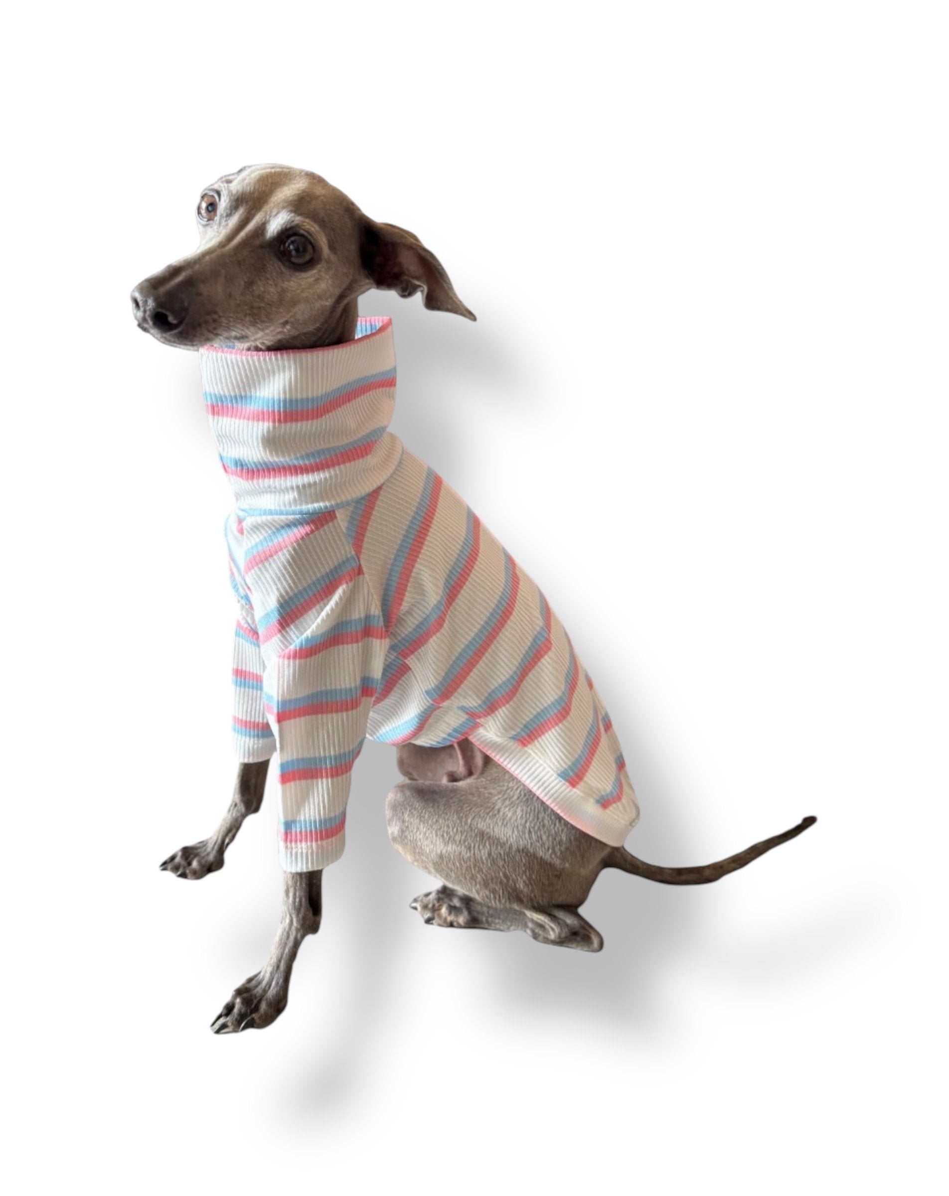 Ribbed Jersey T-Shirt - Pink & Blue Stripe