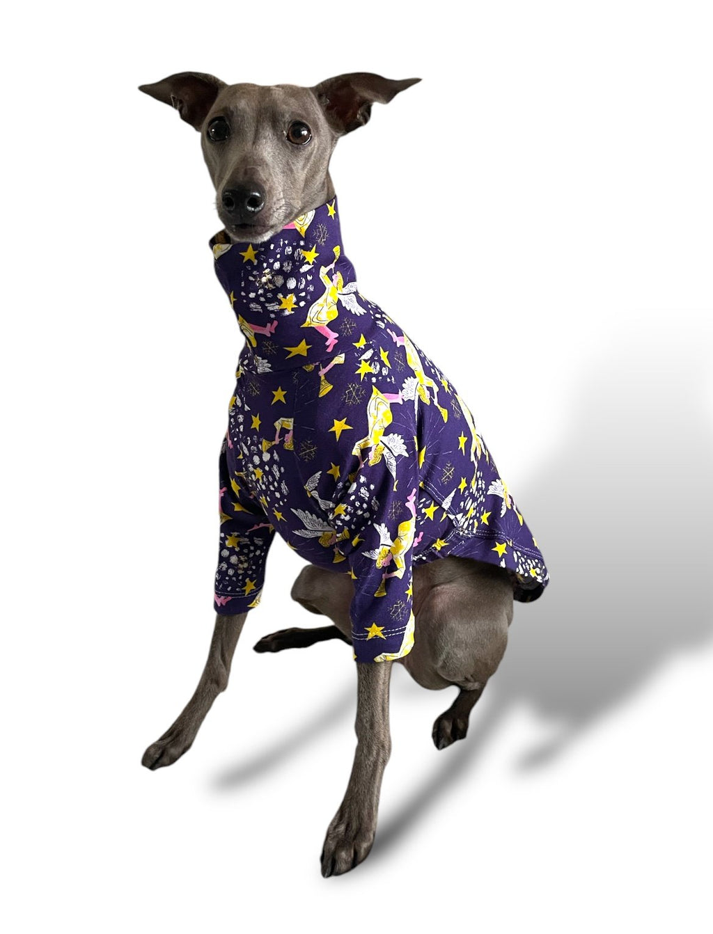 Puppy Christmas Jersey T-Shirt - Divine Angels