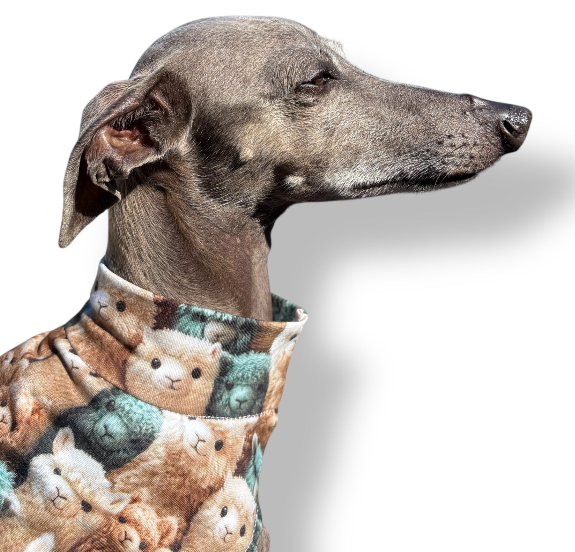 Jersey Vest - Llamas