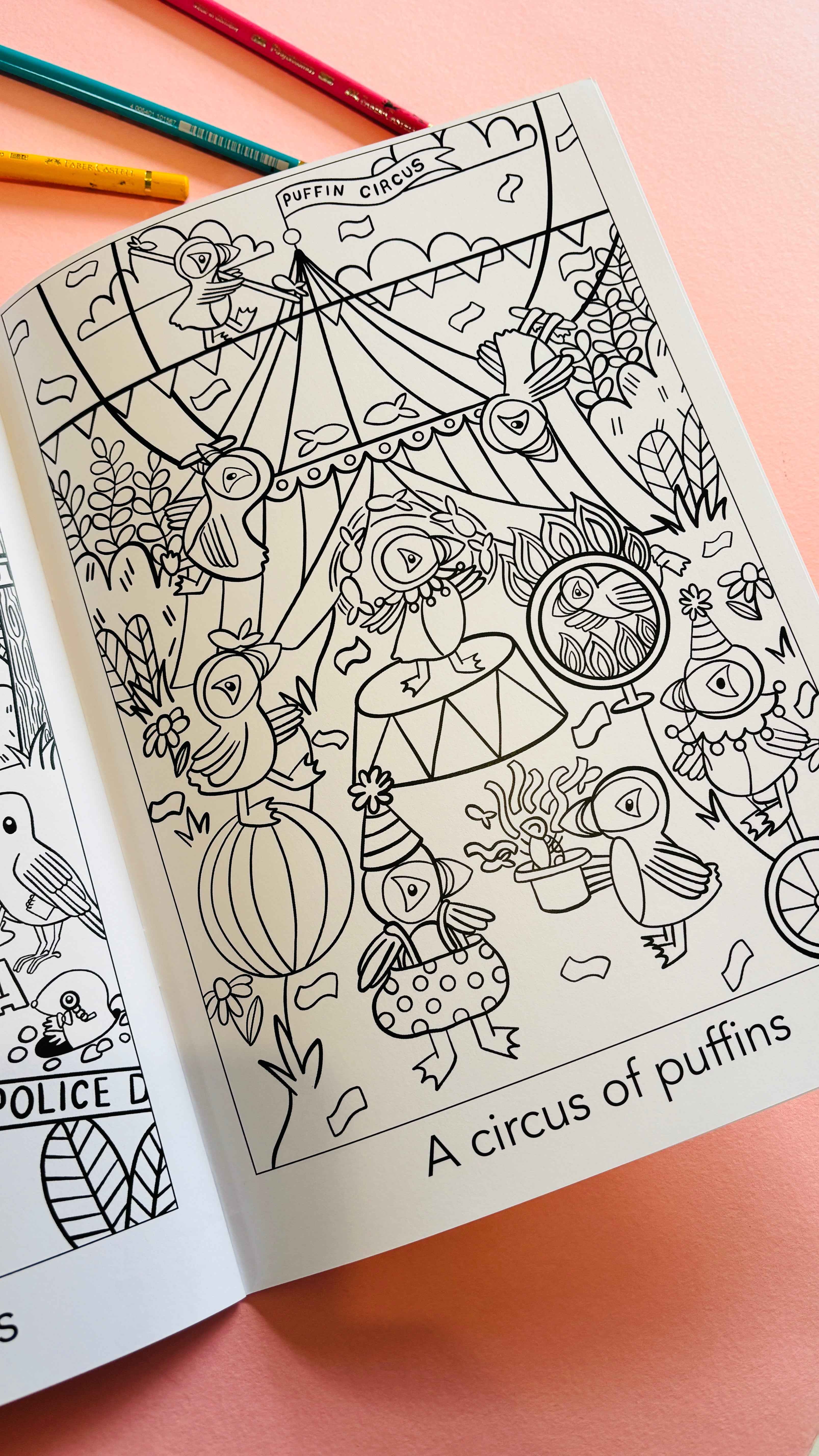 A crown of kingfishers: A collective noun colouring book