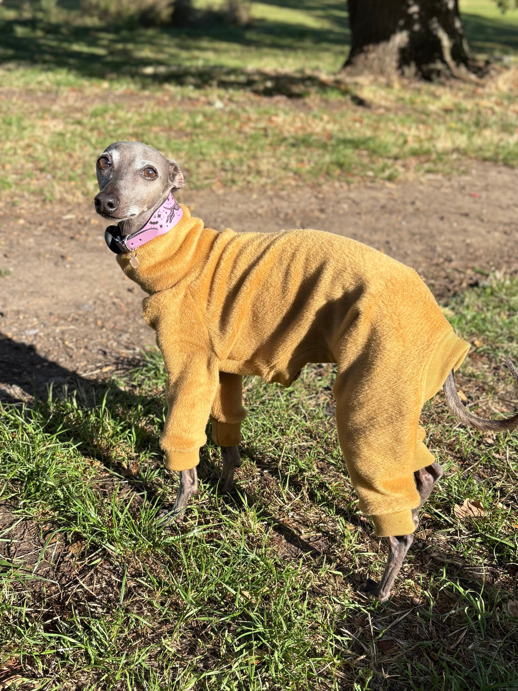 Fleece Lined Sweatshirt - Honey Yellow
