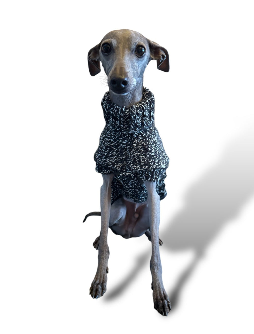 Knitted Coat - Button Up - Monochrome