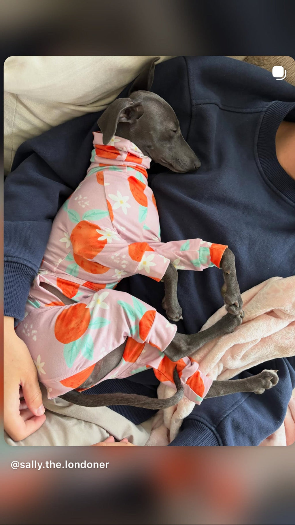Jersey Suit - Peaches