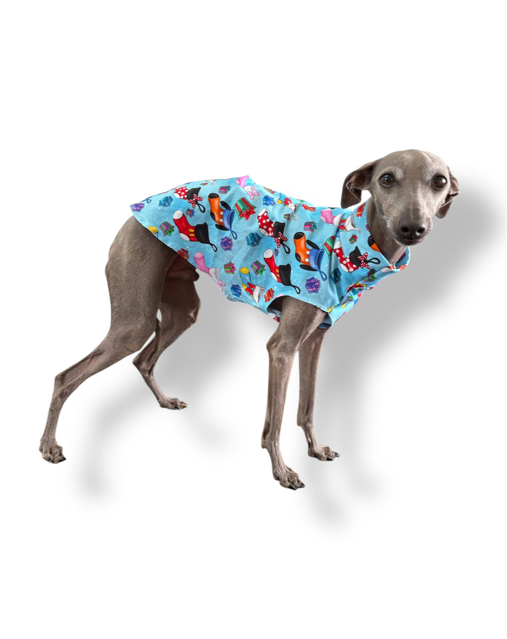 Jersey Vest - Disney Christmas
