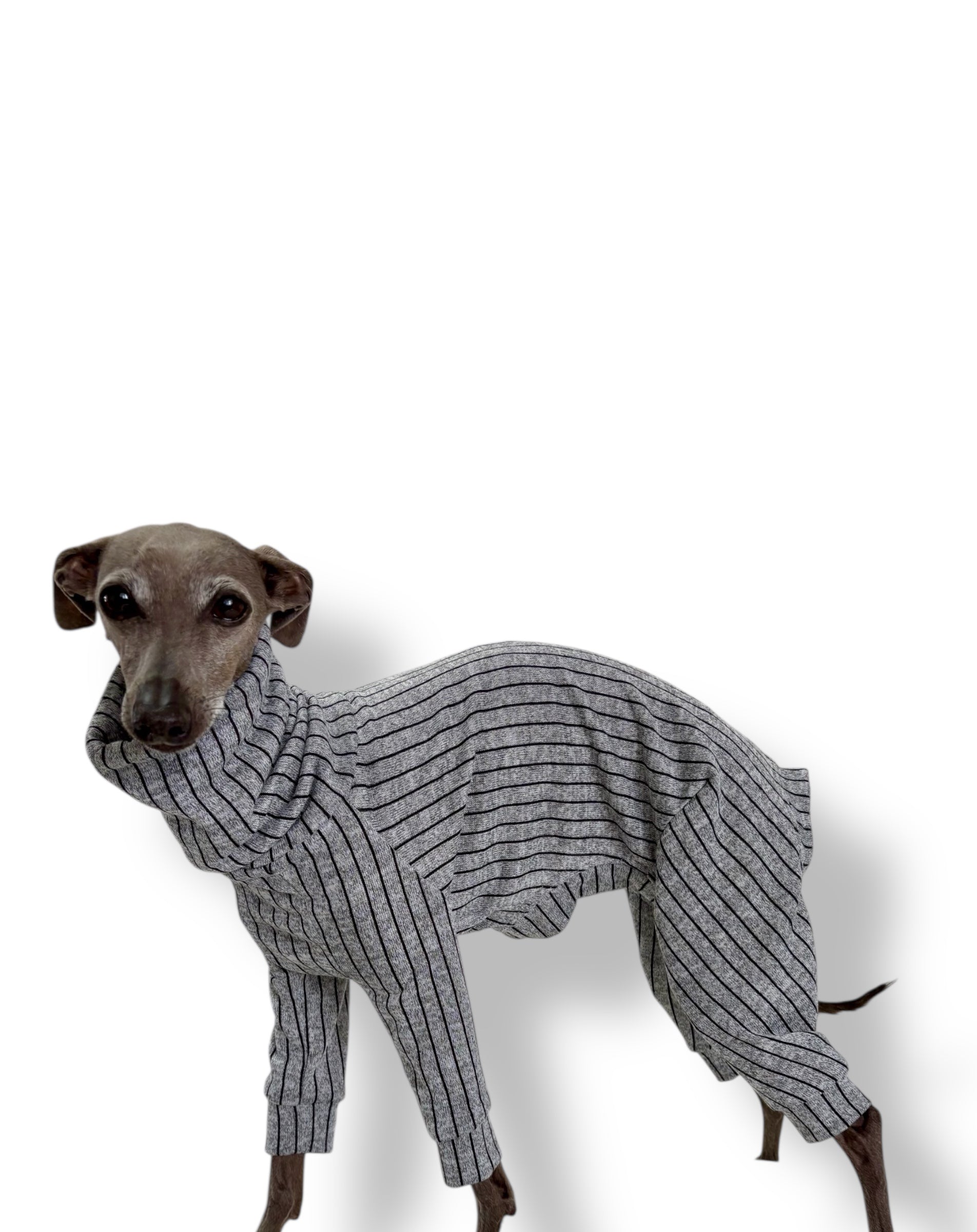 Knit Jersey Suit - Grey Stripe