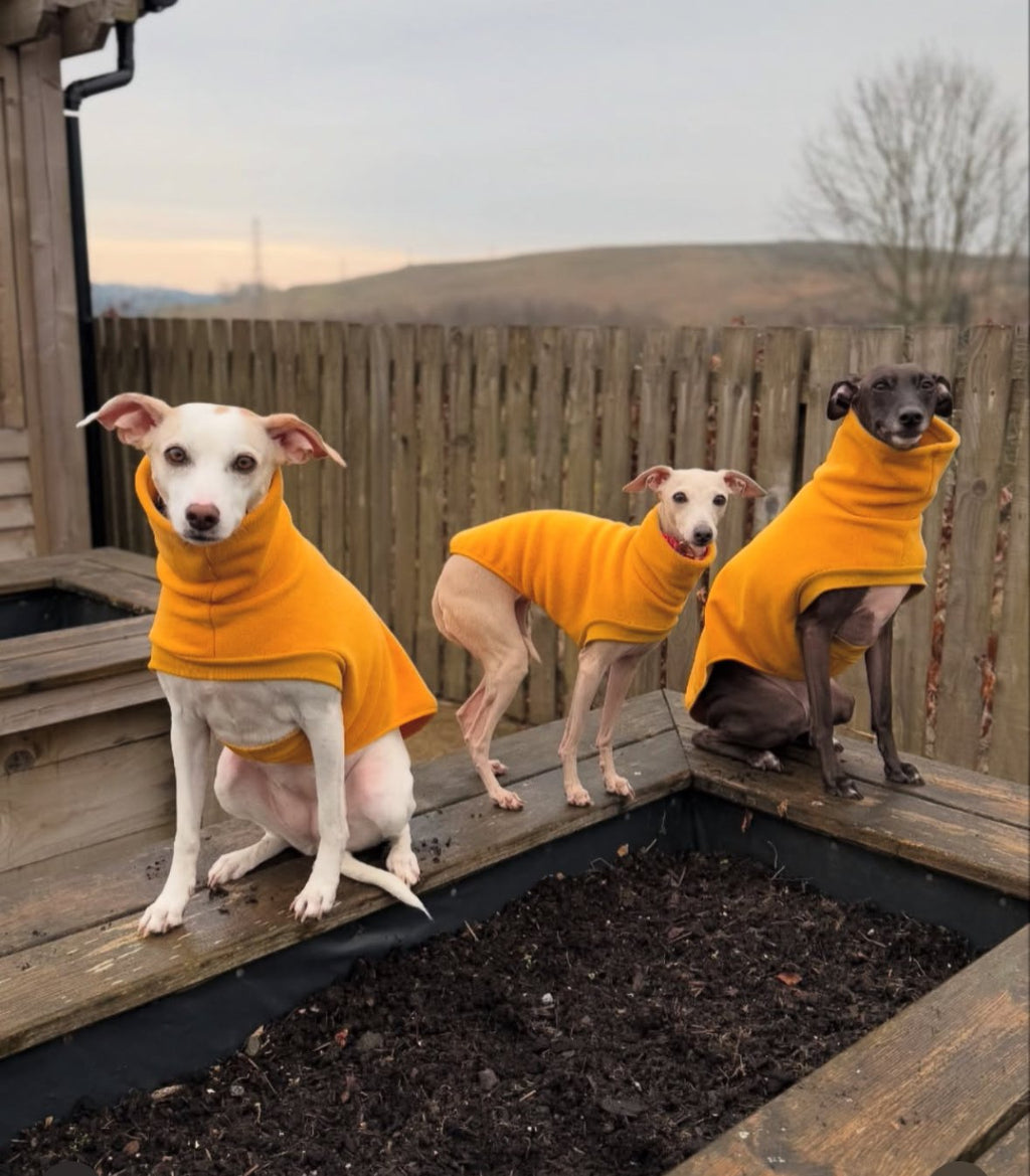 Open-Leg Fleece Vest - Coral