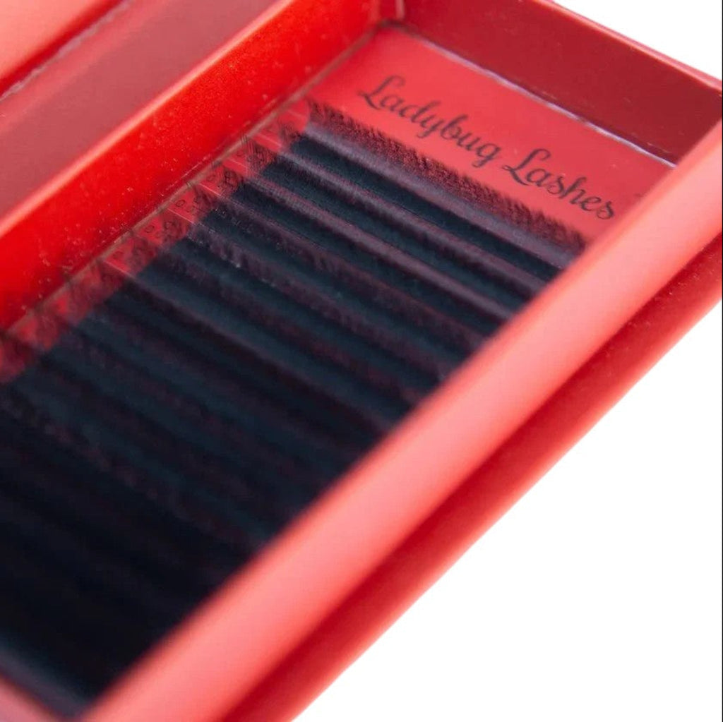 6D Clover Lash Single Length 16 Row Tray