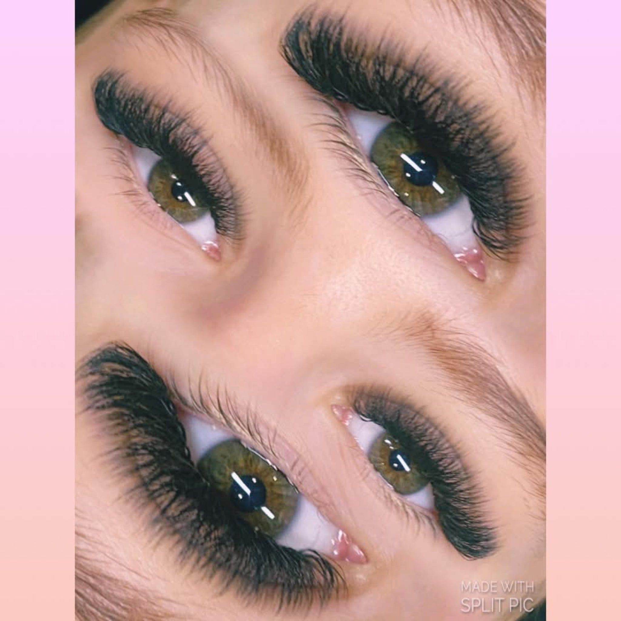 6D Clover Lash Single Length 16 Row Tray