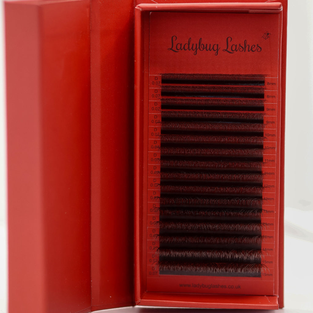 Brown 6D Clover Lash 16 Row Mixed Tray