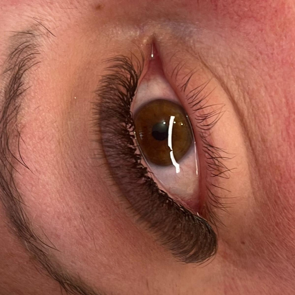 Brown 6D Clover Lash 16 Row Mixed Tray