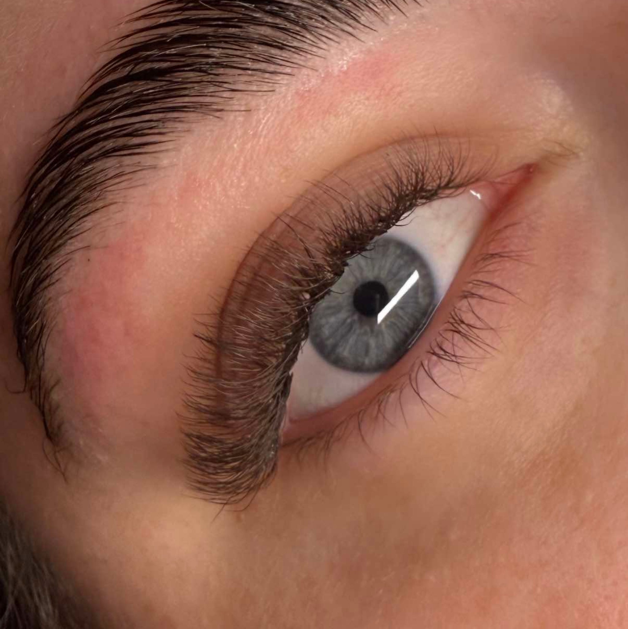 Brown 6D Clover Lash 16 Row Mixed Tray