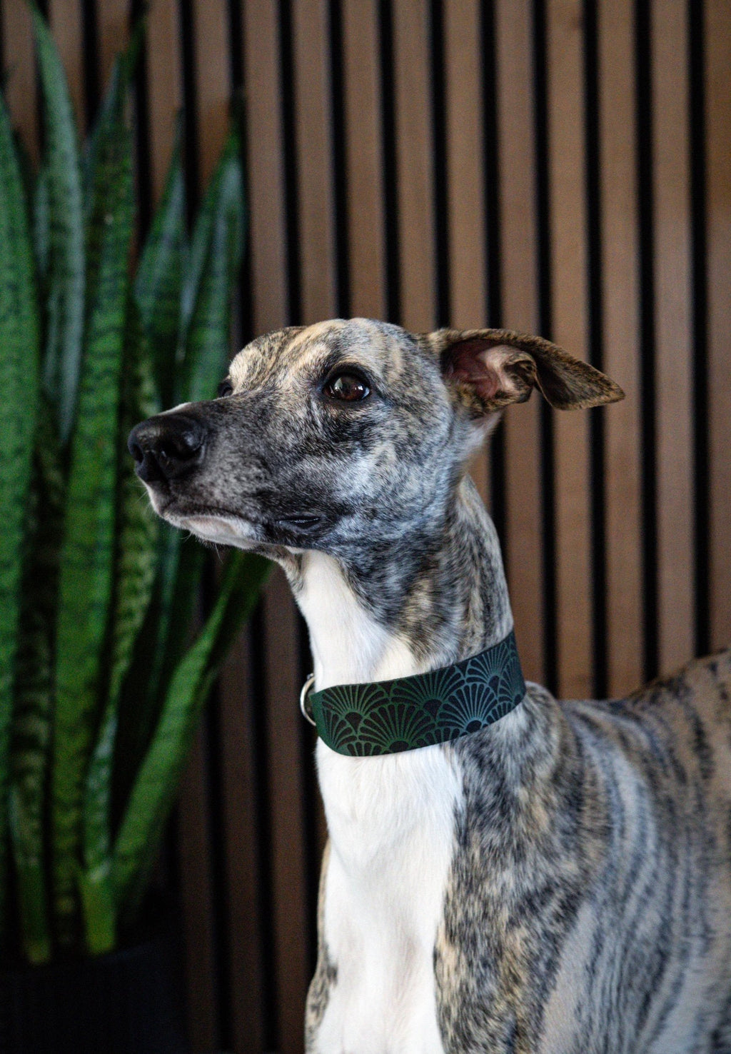 Leather Collar - Art Deco