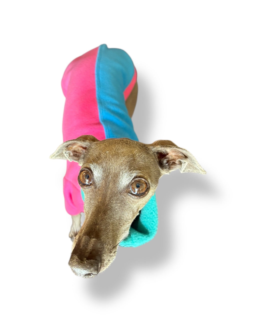 Fleece Jumper - Neon Colour Block