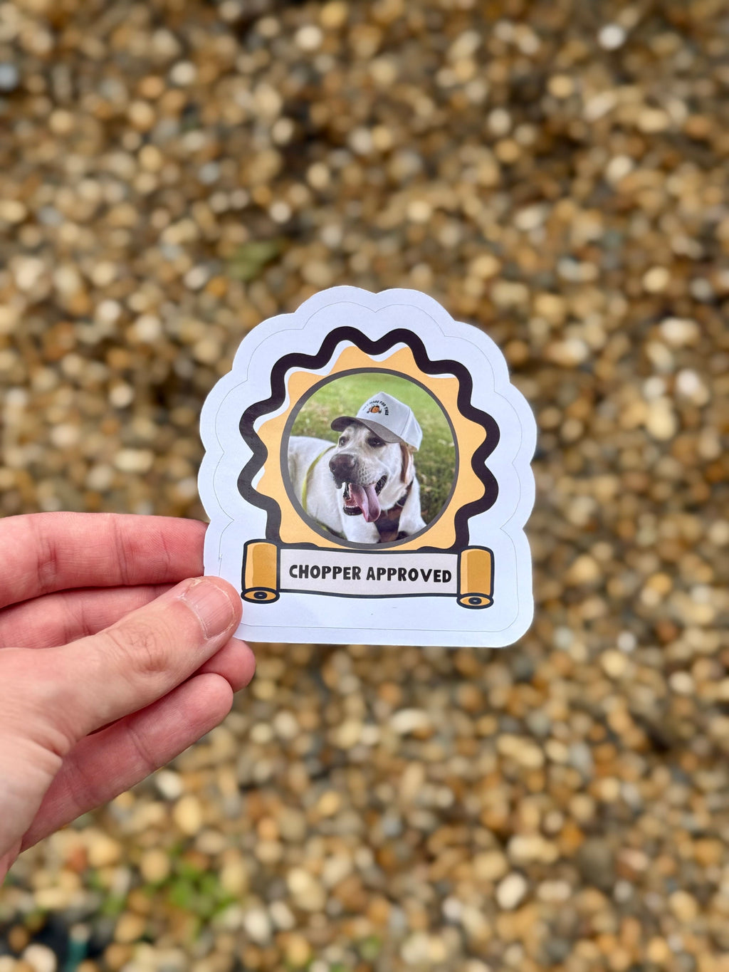 Labrador Approved Sticker | Cute Dog Vinyl Sticker | Lab Lover Gift