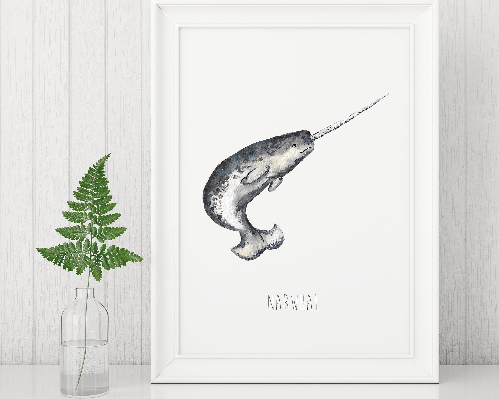 Narwhal art print from original watercolour artwork