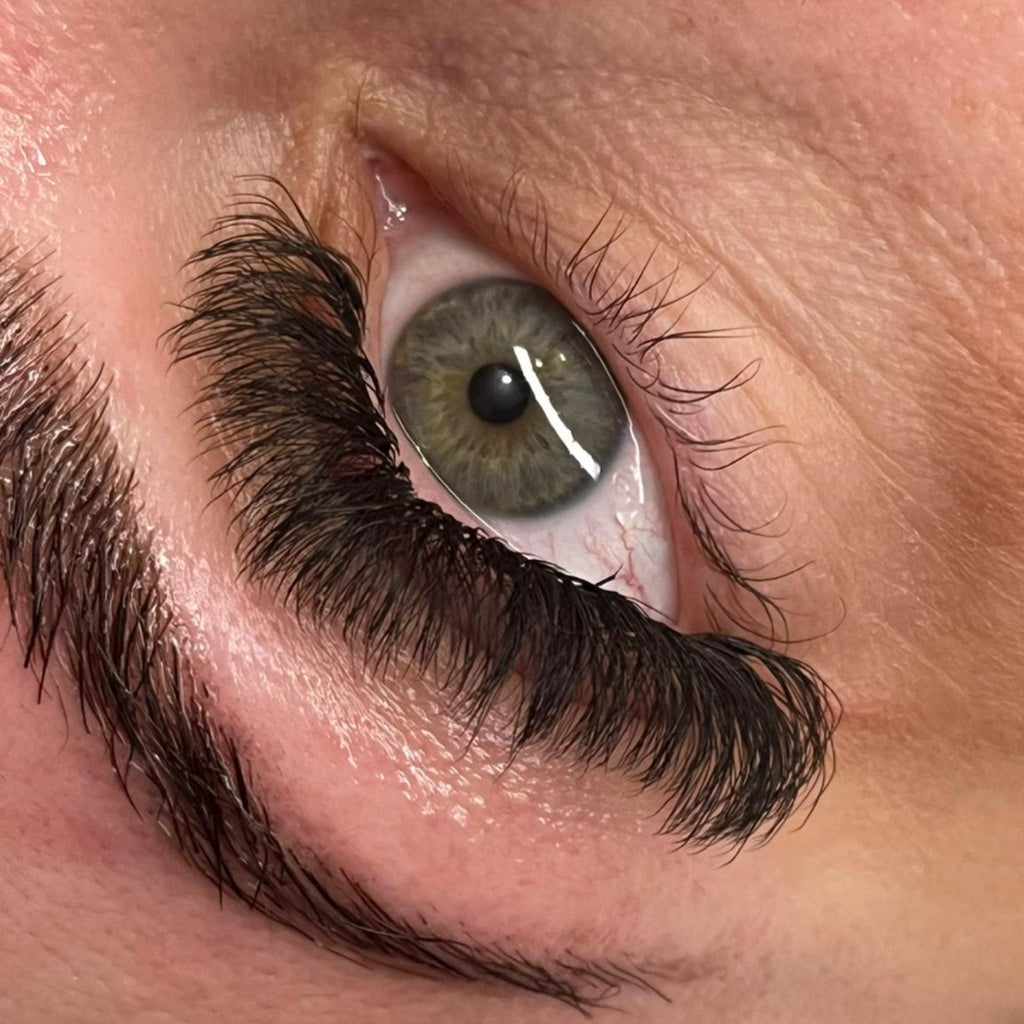 8D Clover Lash 16 Row Mixed Tray