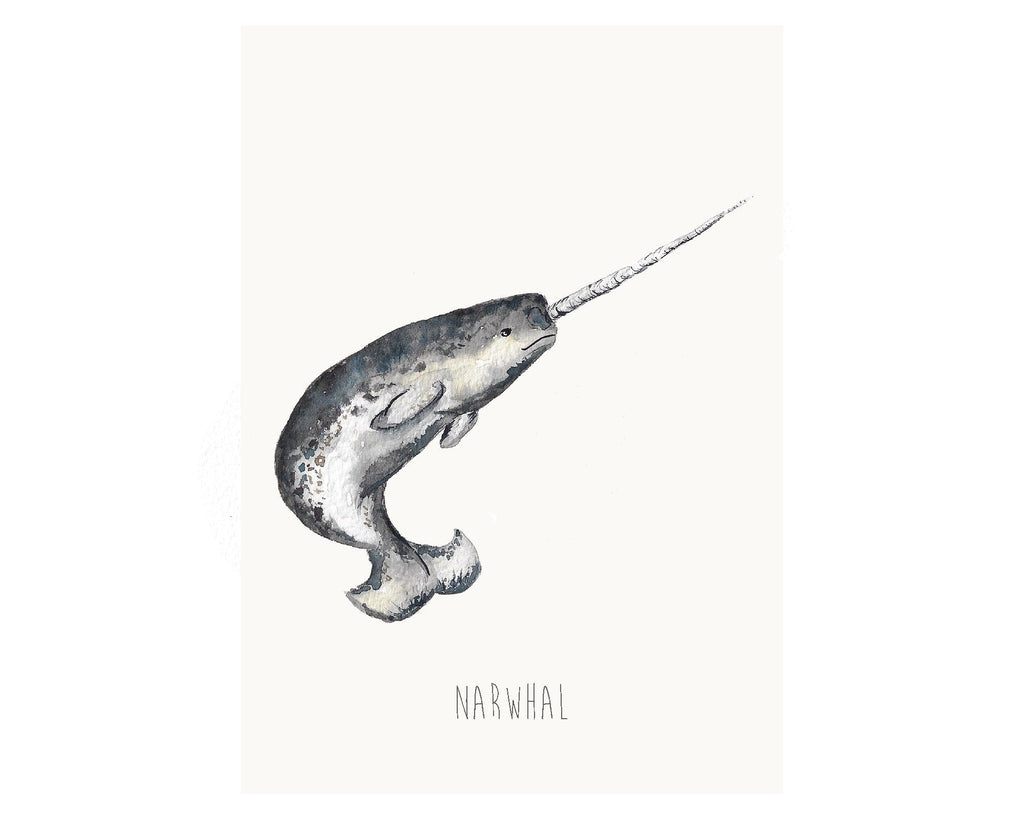 Narwhal art print from original watercolour artwork