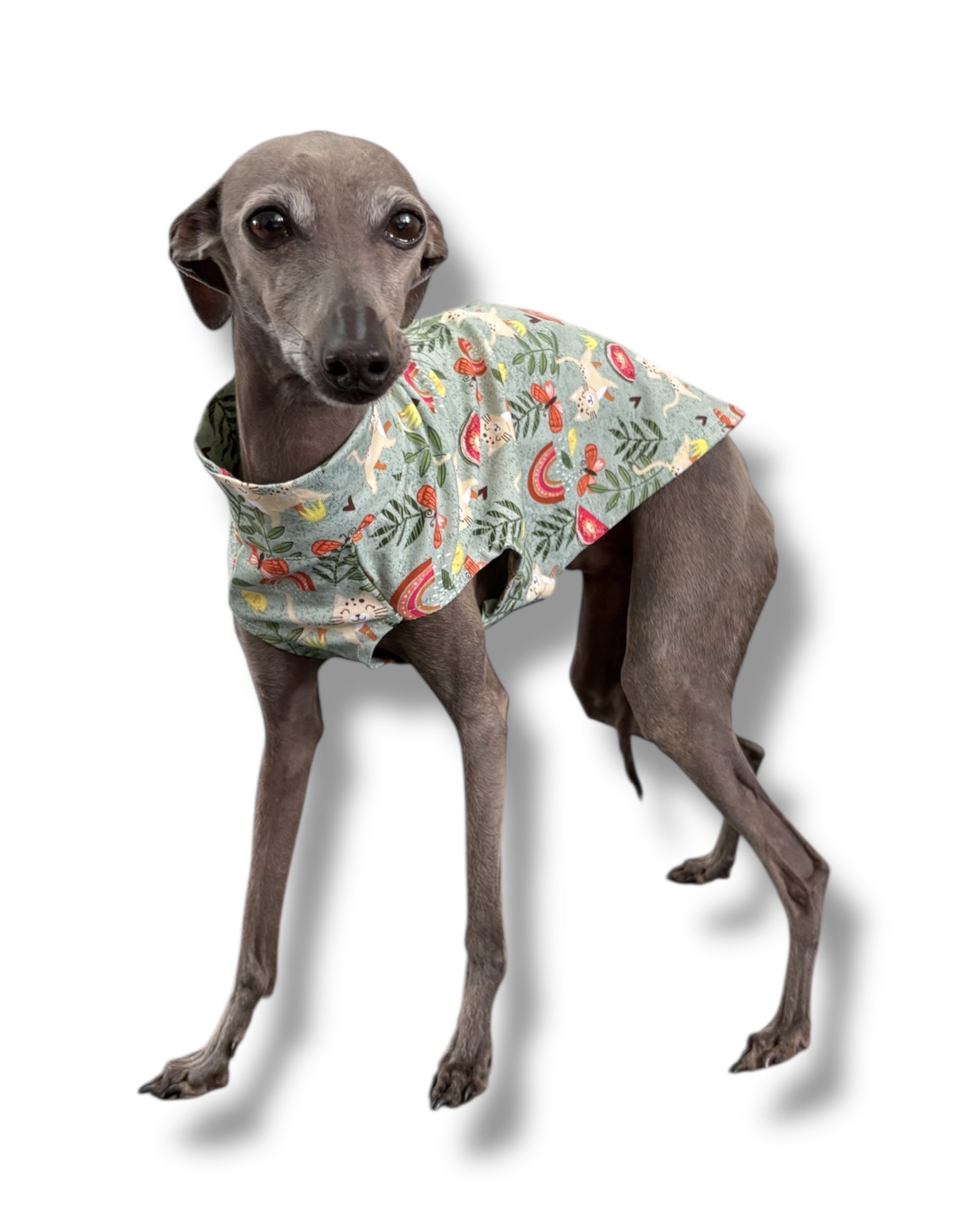 Jersey Vest - Sage Kitties