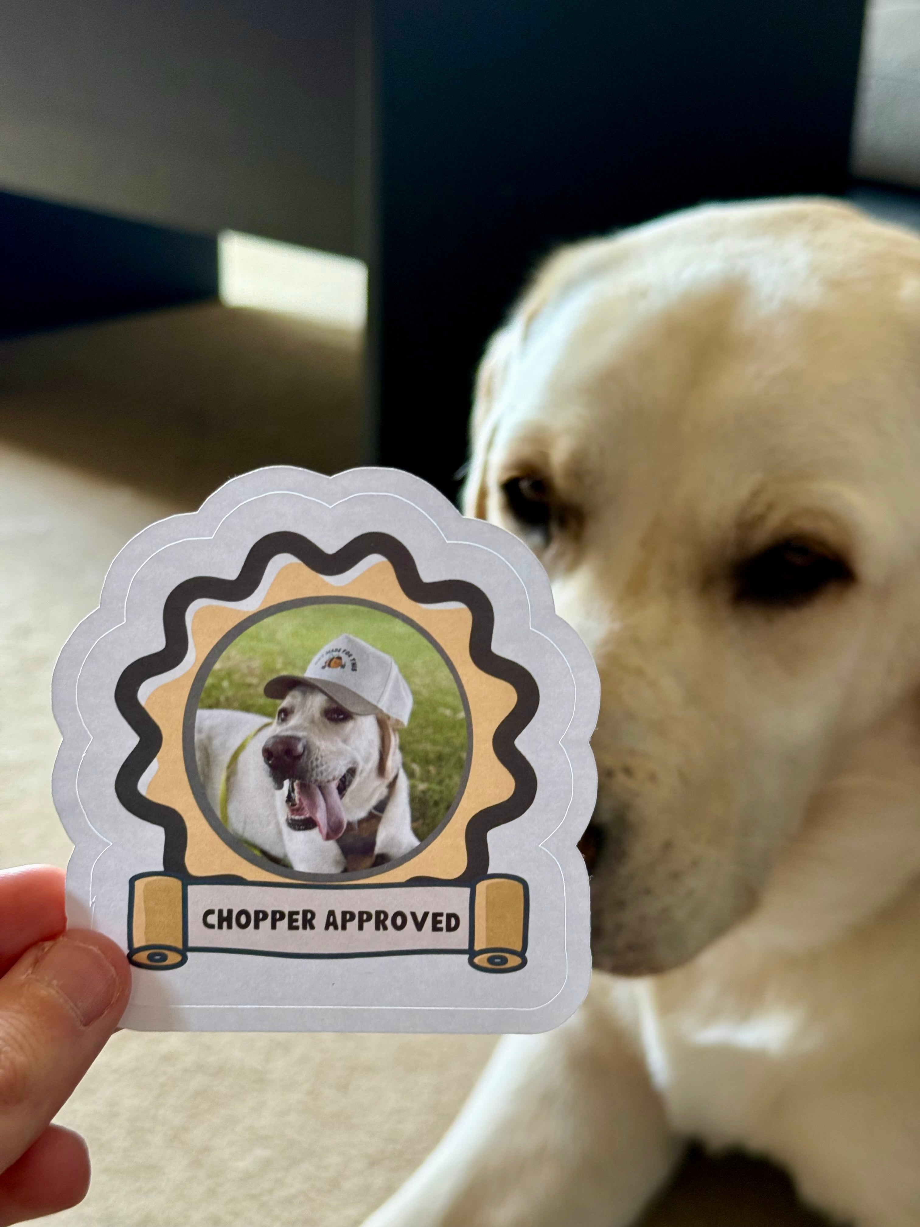 Labrador Approved Sticker | Cute Dog Vinyl Sticker | Lab Lover Gift