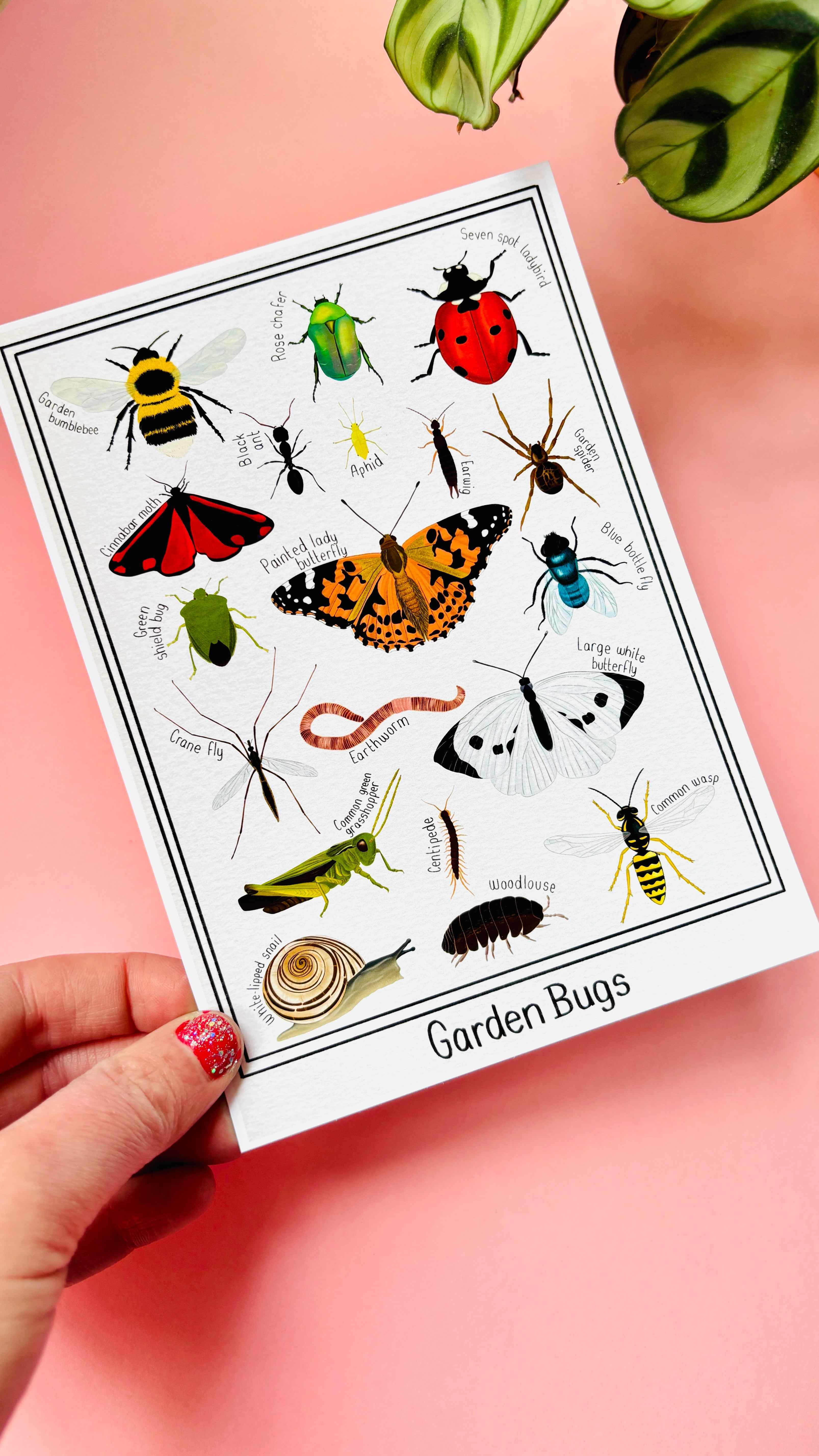 Garden Bug Wall Art Print: Nature Inspired Educational Prints