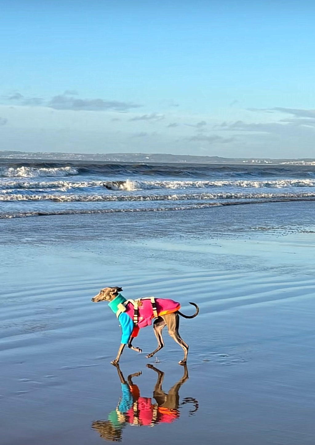 Fleece Jumper - Neon Colour Block
