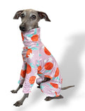 Jersey Suit - Peaches