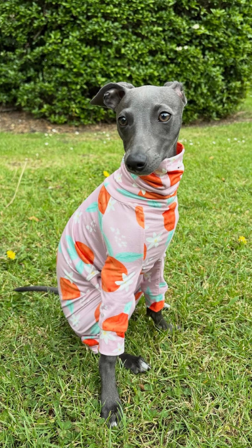 Jersey Suit - Peaches