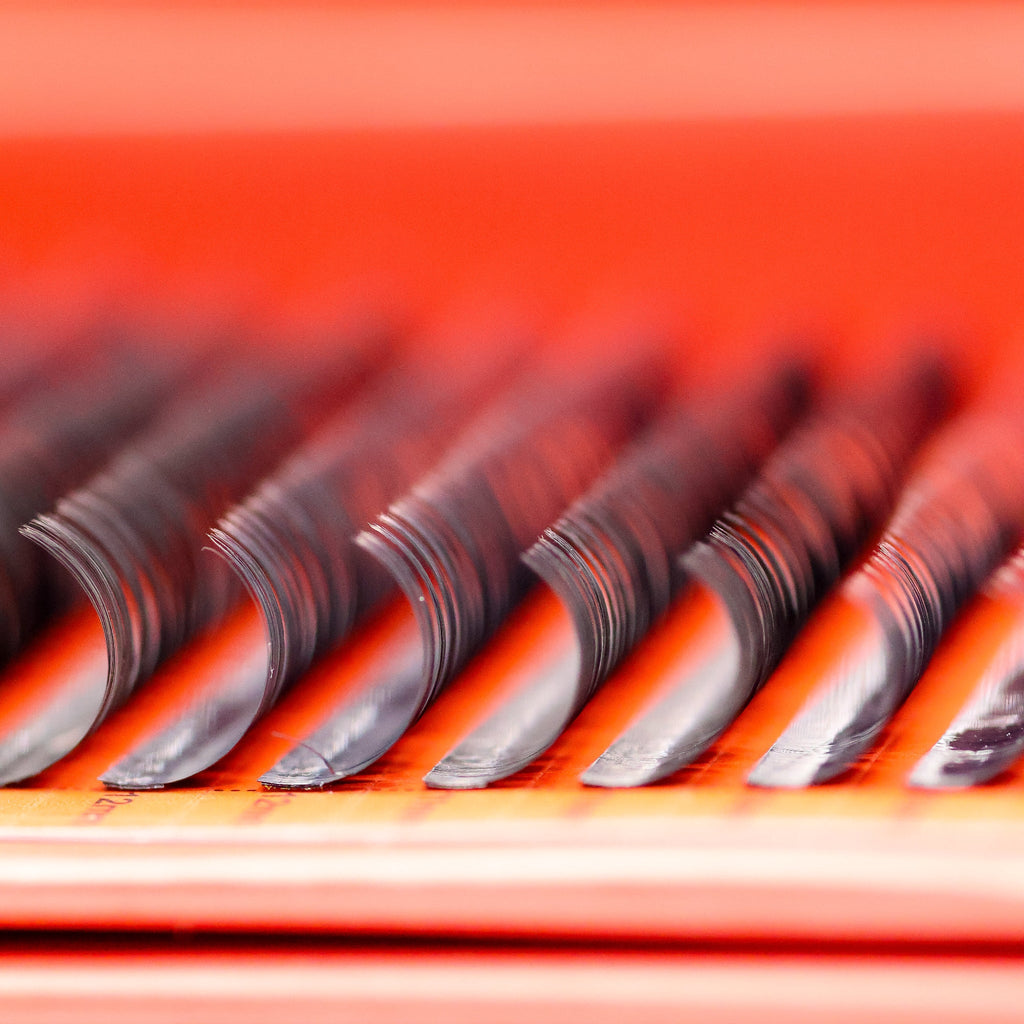 Wet Look Lash Mixed Tray