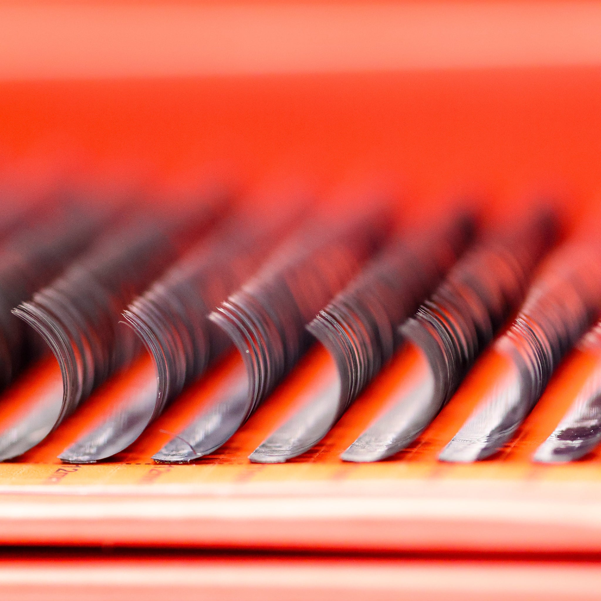 Wet Look Lash Mixed Tray