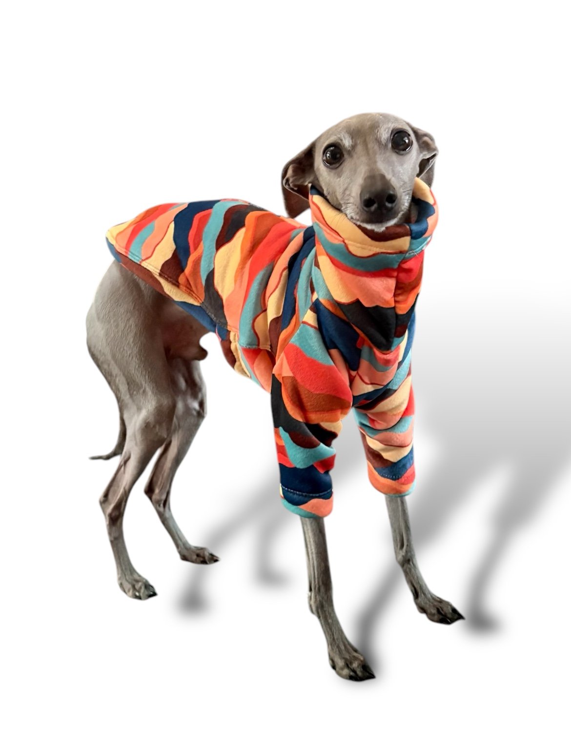 Sherpa Lined Fleece Puppy Jumper - Mountains