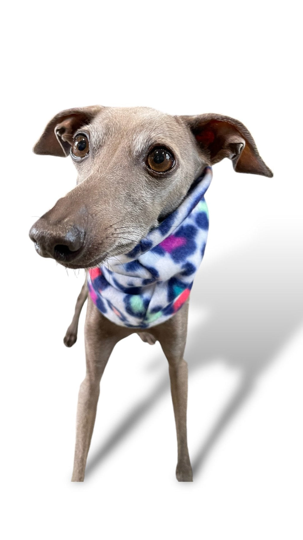 Fleece Snood - Strong Women