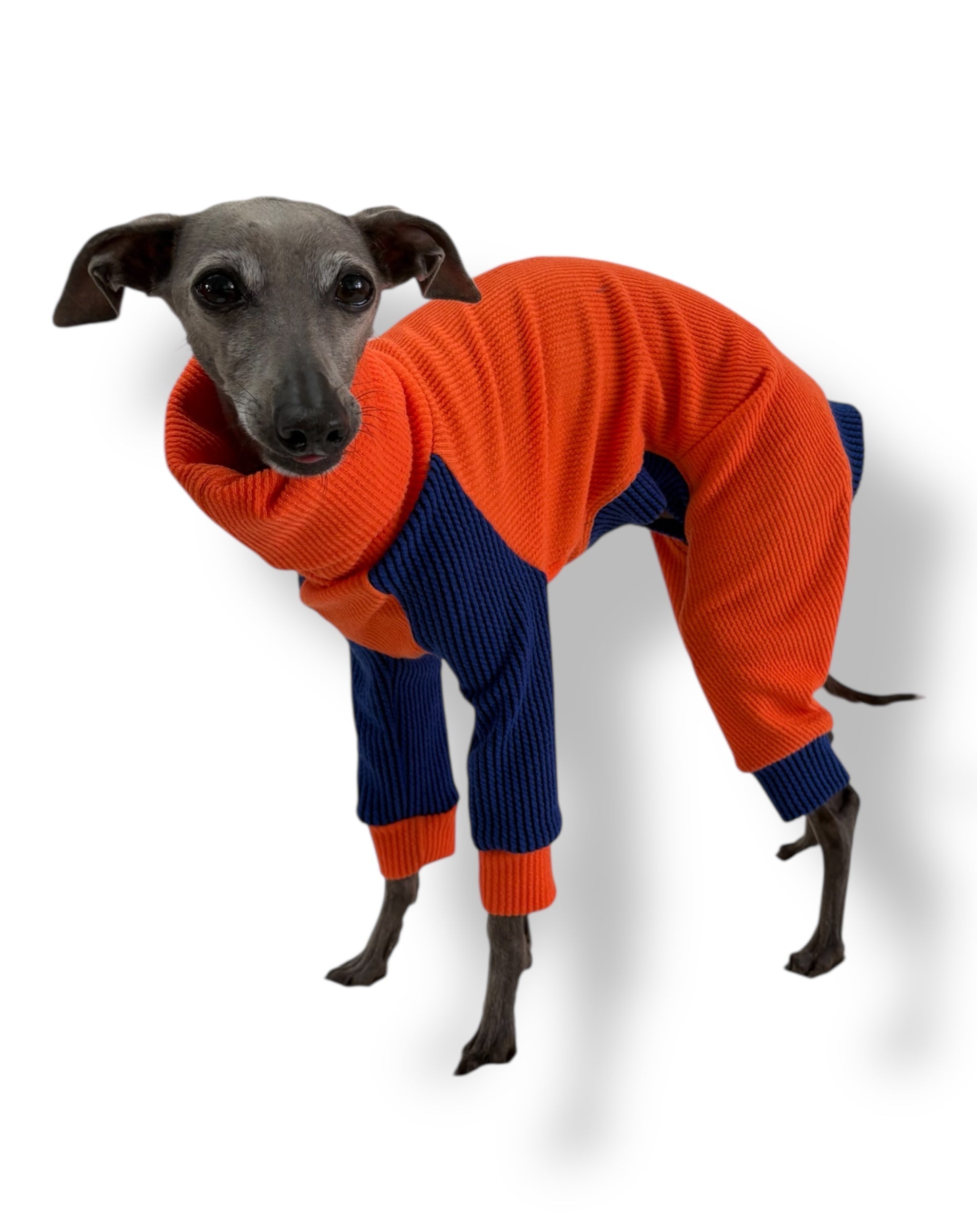 Ribbed Jersey Suit - Orangina