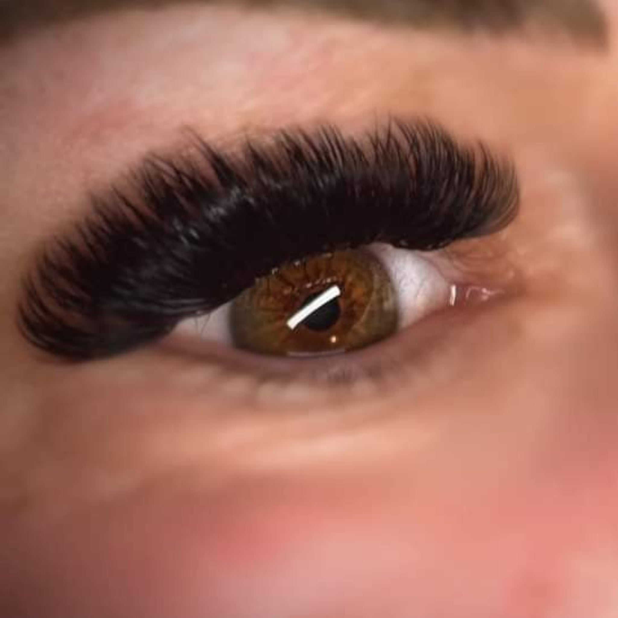 Volume Lashes Single Length 16 Row Tray