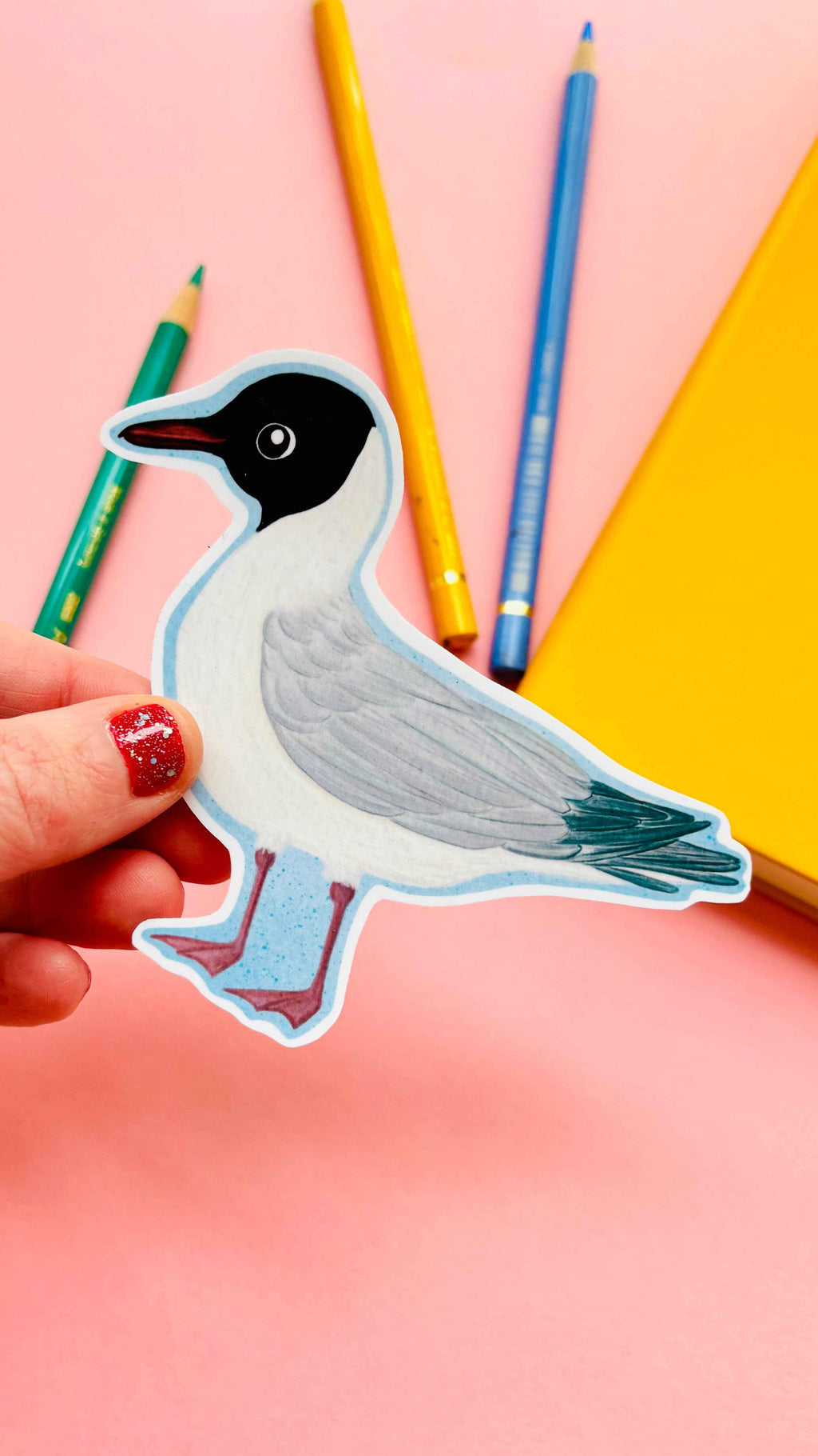 Black headed Gull Illustrated Vinyl Sticker